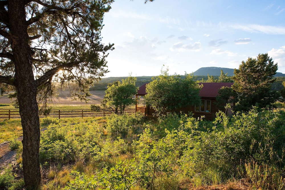 zion mountain ranch