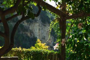hotel botanico san lazzaro