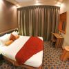 elite crystal hotel