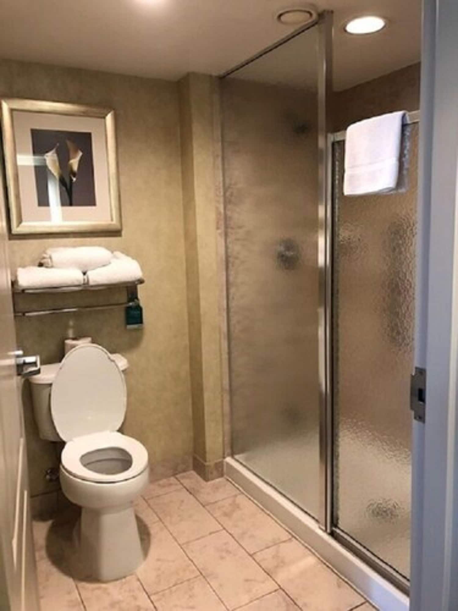 homewood suites by hilton toronto markham