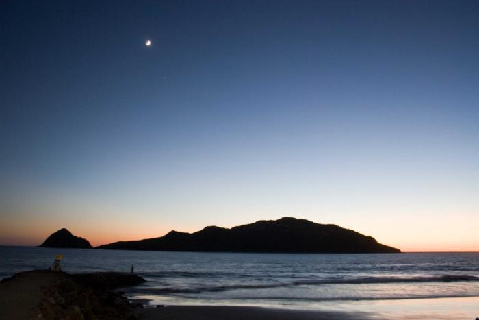 suites las flores beach mazatlan