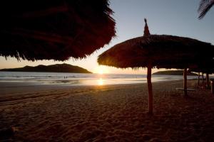 suites las flores beach mazatlan
