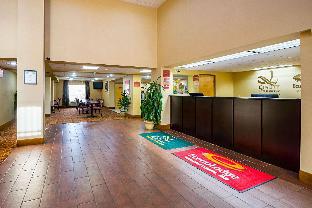 quality inn and suites