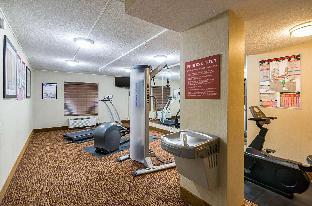 quality inn and suites