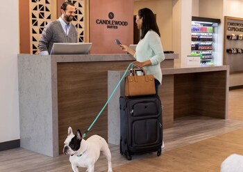 candlewood suites orange by ihg