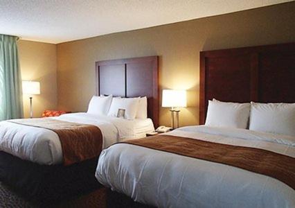 spark by hilton kannapolis