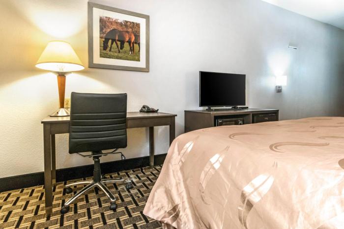 spark by hilton lexington hamburg