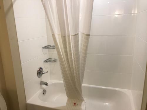 comfort suites