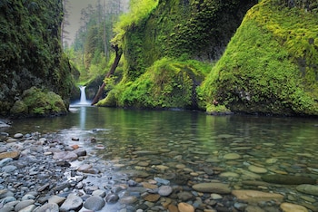 Under Canvas Columbia River Gorge,,3 star