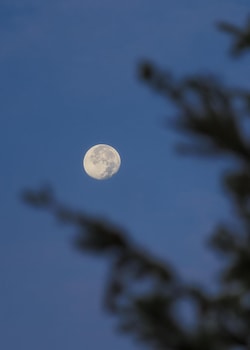 oneandonly moonlight basin