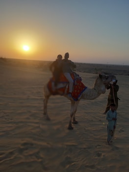 seven palms luxury camp