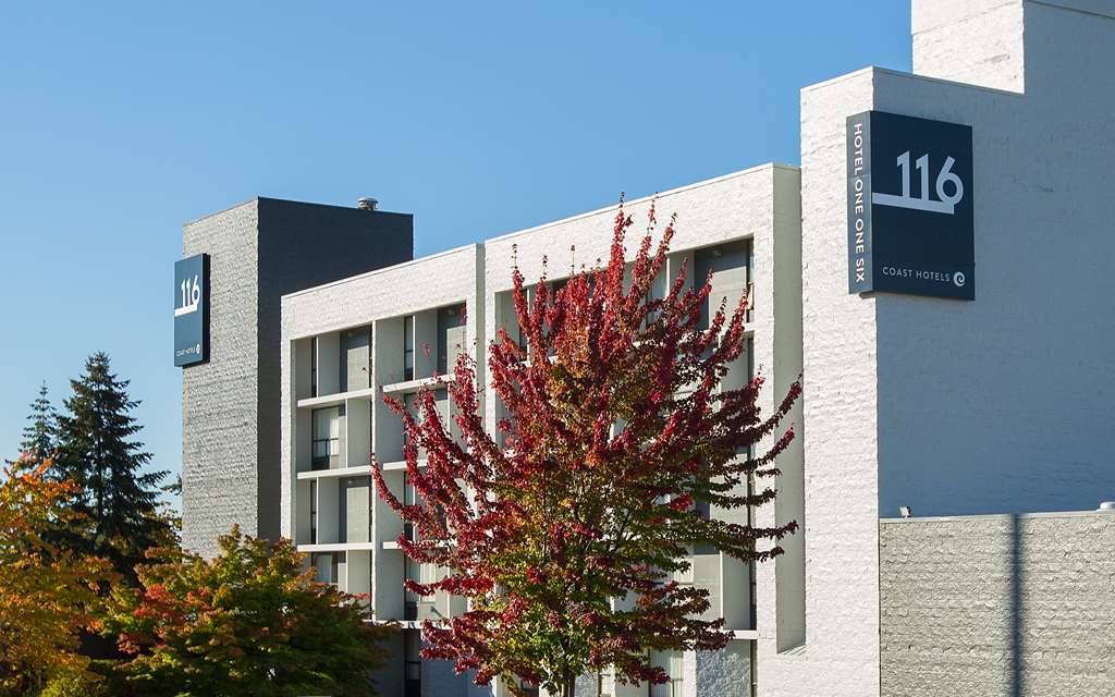 hotel 116 a coast hotel bellevue