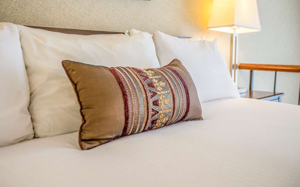 hotel 116 a coast hotel bellevue