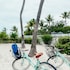 bayside inn key largo