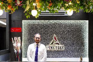 pine tree boutique hotel near us consulate and apollo hospital