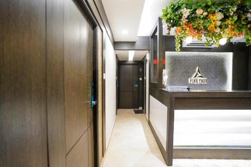 pine tree boutique hotel near us consulate and apollo hospital