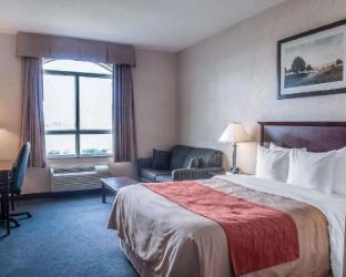 comfort inn mississauga