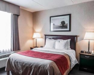 comfort inn mississauga