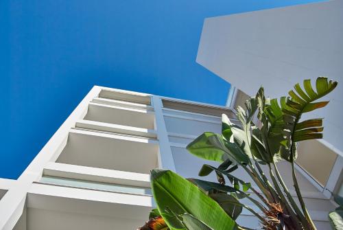 soglow business class aparthotel