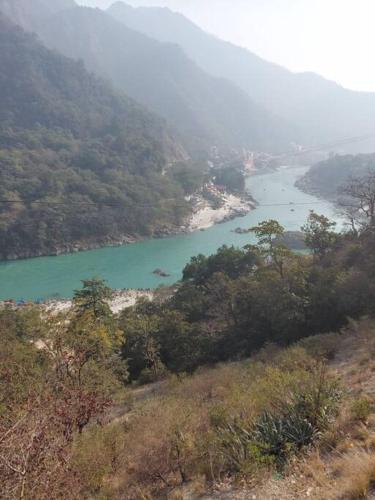 blue heart home 1bhk luxury and cosy flat in tapovan