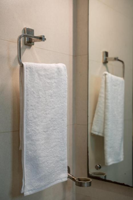 royal plaza glitz inn