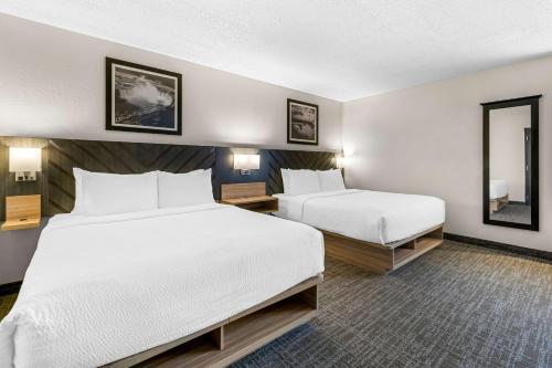 best western buffalo inn and suites