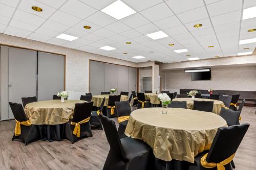 comfort inn and suites prince george fort gregg
