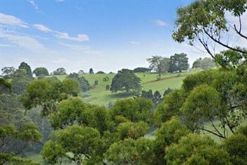 kondalilla eco resort