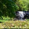 kondalilla eco resort
