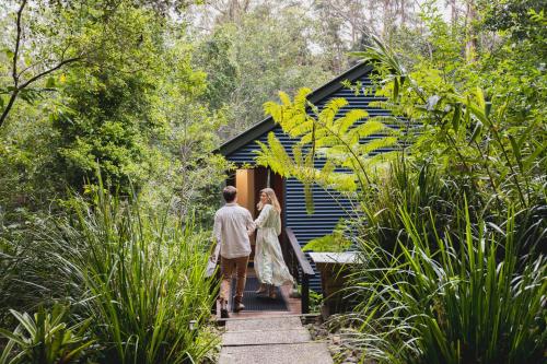 Kondalilla Eco Resort,Flaxton>>Caloundra,4 star