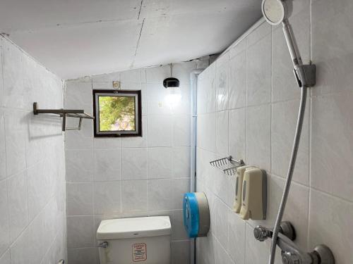 collection o khu mueang near tha phae gate formerly lai thai guesthouse