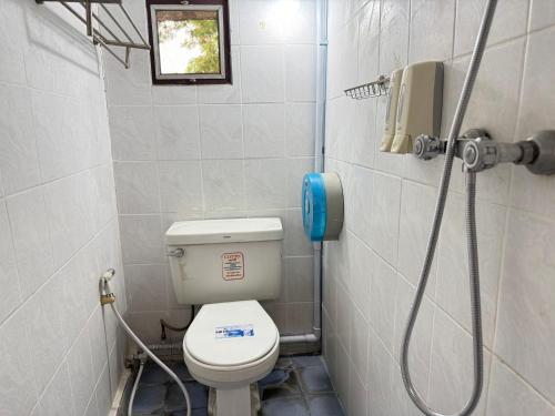 collection o khu mueang near tha phae gate formerly lai thai guesthouse