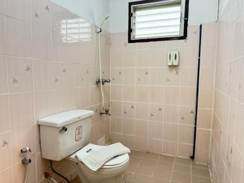 collection o khu mueang near tha phae gate formerly lai thai guesthouse