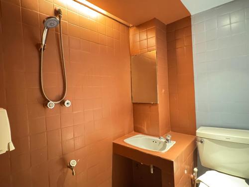 collection o khu mueang near tha phae gate formerly lai thai guesthouse