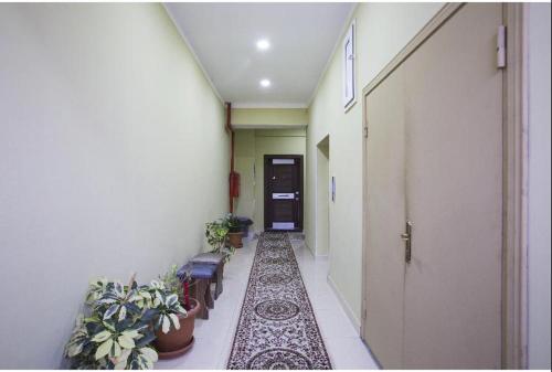 leyla apartmens 1
