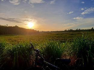 tawanna resort