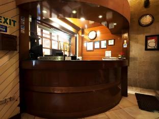 the metropolis guest house near rk ashram metro station