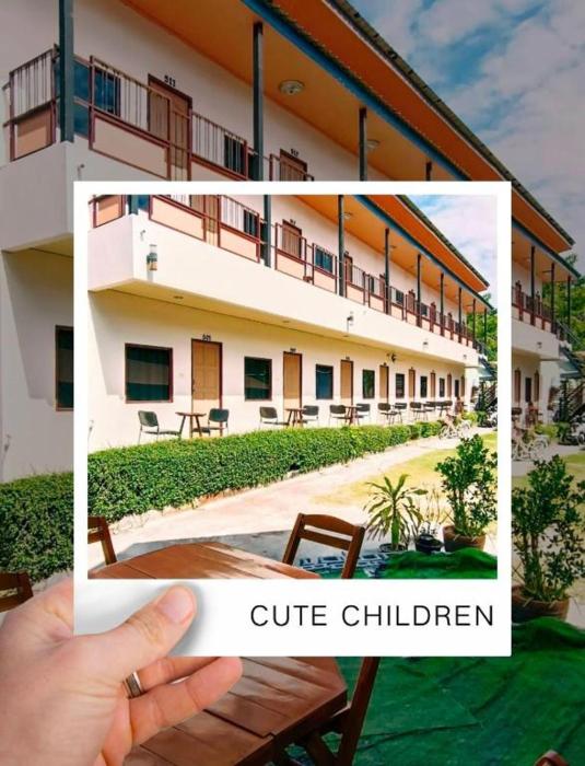 greenplace samed seahorse