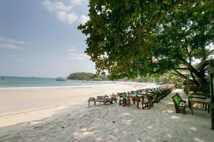 greenplace samed seahorse