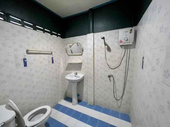 greenplace samed seahorse