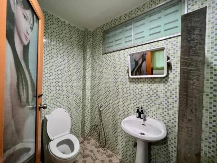 greenplace samed seahorse