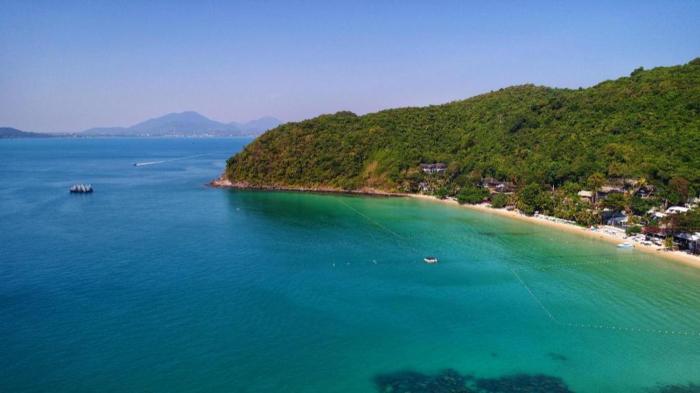 greenplace samed seahorse