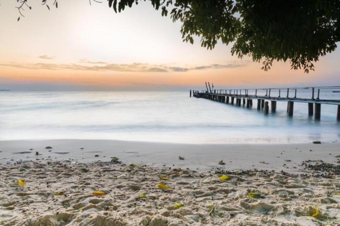 greenplace samed seahorse