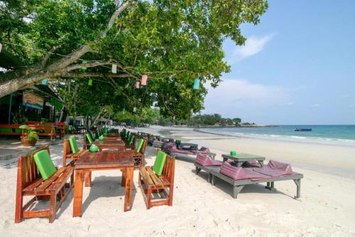 greenplace samed seahorse