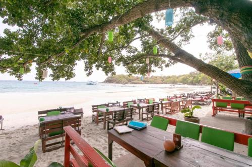 greenplace samed seahorse