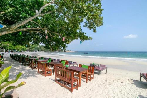 greenplace samed seahorse