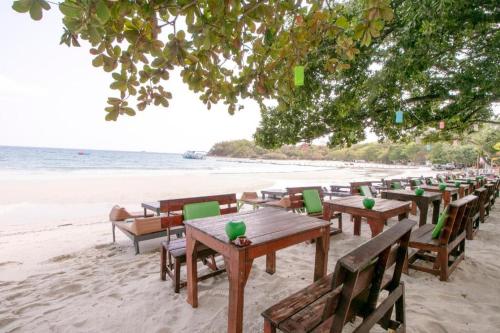 greenplace samed seahorse