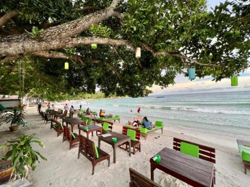 greenplace samed seahorse