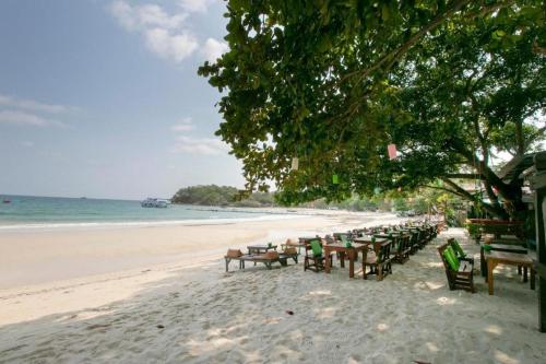 greenplace samed seahorse