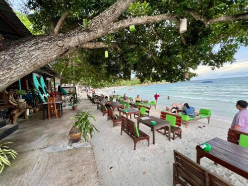 greenplace samed seahorse